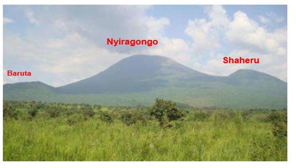 Description: D:\FIGURES POUR NTEDIKA\cardinal 9.JPG