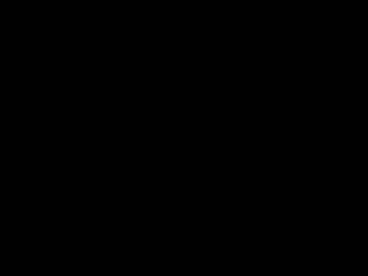 Description: C:\Users\user\AppData\Local\Temp\screen.jpg