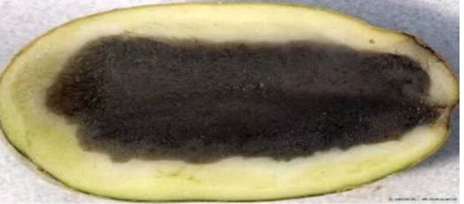 Description: Description: C:\Users\User\AppData\Local\Microsoft\Windows\INetCache\Content.Word\IMG_20190602_174559_104.jpg