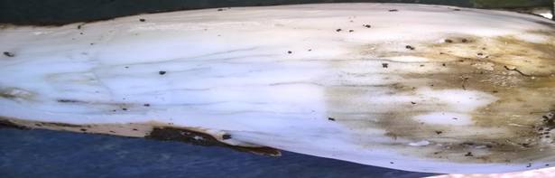 Description: Description: C:\Users\User\AppData\Local\Microsoft\Windows\INetCache\Content.Word\WP_20191114_09_24_05_Pro.jpg