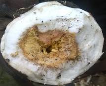 Description: Description: C:\Users\User\AppData\Local\Microsoft\Windows\INetCache\Content.Word\WP_20191130_12_30_04_Selfie.jpg